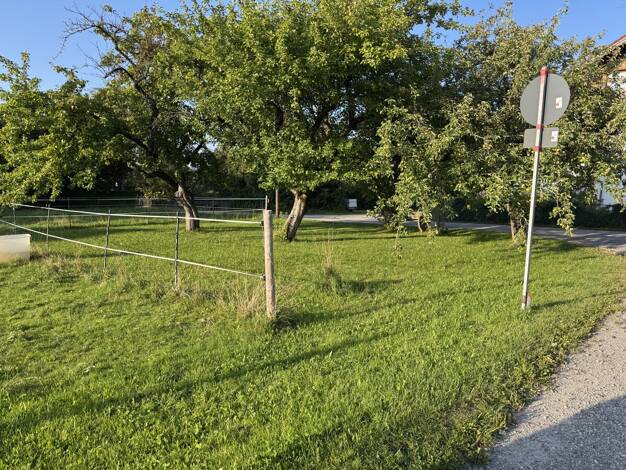 Grundstück zum Kauf 535.000 € 1.300 m² Grundstück Steingaden 86989