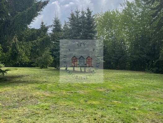 Grundstück zum Kauf 4.250 m² Grundstück Oberplanitz Zwickau / Cainsdorf 08064