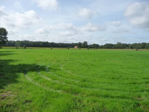 Land-/Forstwirtschaft zum Kauf 56.430 m² Grundstück Hahlen Menslage 49637