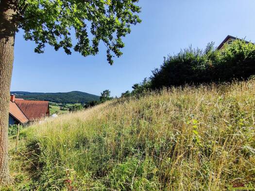 Grundstück zum Kauf 170.000 € 3.712 m² Grundstück Feldbach 8344