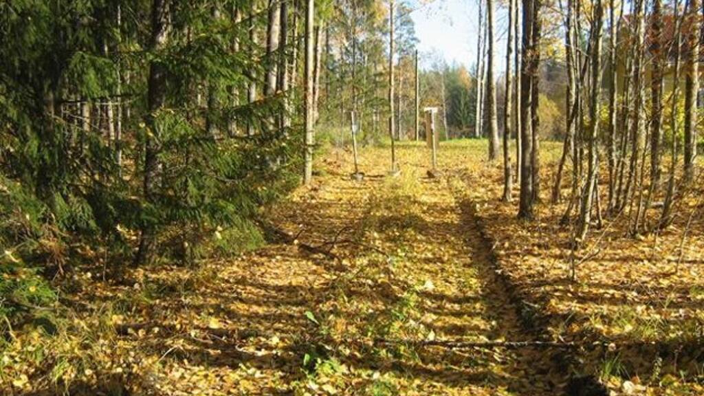 Einfamilienhaus zum Kauf 150.000 € 9 Zimmer 150 m² 11.400 m² Grundstück Lahti 16160