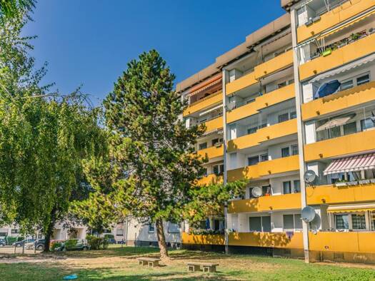 Wohnung zur Miete 829 € 3 Zimmer 82,8 m² EG frei ab 29.07.2026 Dürkheimer Straße 3 Innenstadt Worms 67549
