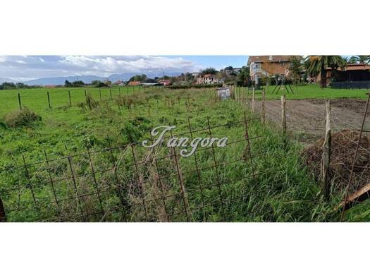 Acker-/Waldstück zum Kauf 118.000 € Getxo 48993