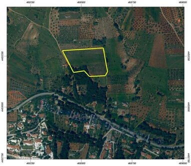 Land-/Forstwirtschaft zum Kauf 550.000 € 20.000 m² Grundstück Chalkidiki