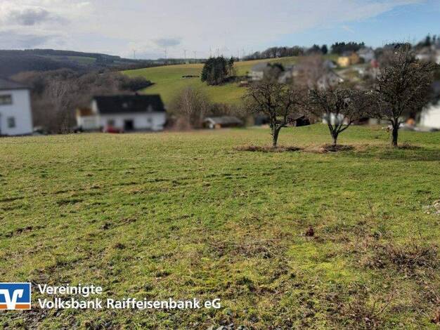 Grundstück zum Kauf 49.003 € 983 m² Grundstück Schönberg 54426