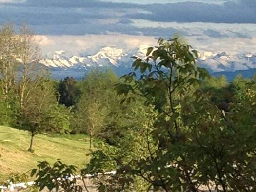 Reiterhof zum Kauf 100.000 m² Grundstück Urlau Leutkirch im Allgäu 88299