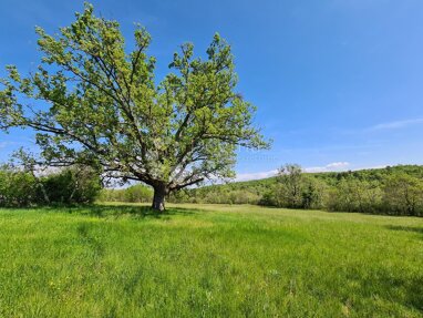 Land-/Forstwirtschaft zum Kauf 235.000 € Momjan 52460