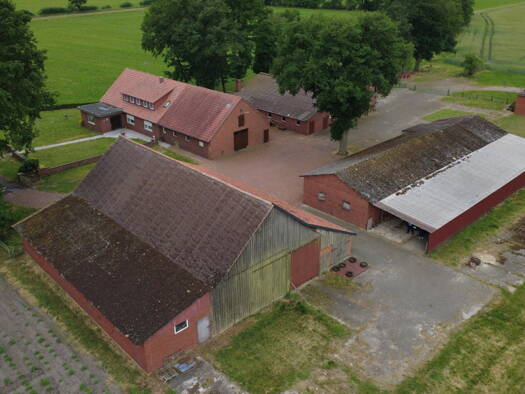 Haus zum Kauf 420.000 € 6 Zimmer 180 m² 16.600 m² Grundstück Drebber / Cornau 49457