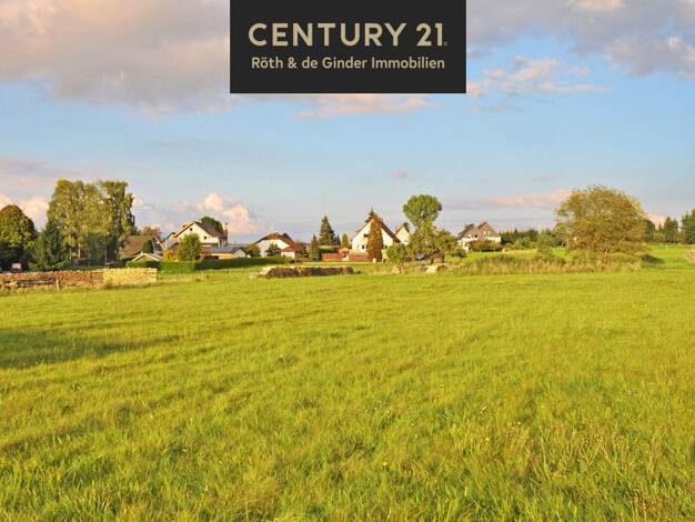 Grundstück zum Kauf 349.000 € 11.609 m² Grundstück frei ab sofort Münchhausen Driedorf 35759