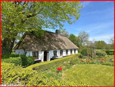 Einfamilienhaus zum Kauf 230.000 € 3,5 Zimmer 75,5 m² 1.136 m² Grundstück Tolk 24894