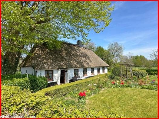 Einfamilienhaus zum Kauf 230.000 € 3,5 Zimmer 75,5 m² 1.136 m² Grundstück Tolk 24894