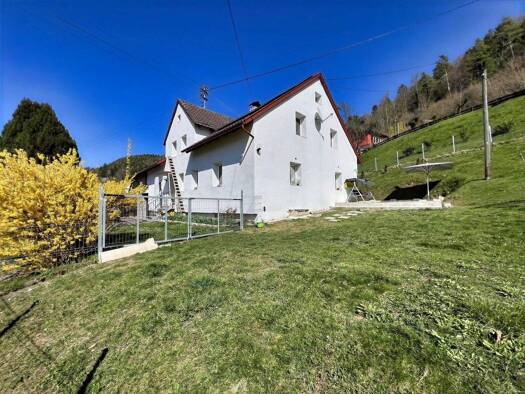 Einfamilienhaus zum Kauf 399.000 € 7,5 Zimmer 172 m² 1.893 m² Grundstück Grimmelshofen Stühlingen 79780