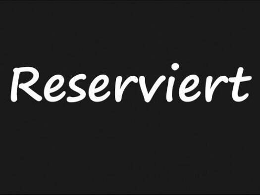 Mehrfamilienhaus zum Kauf provisionsfrei 399.999 € 1 Zimmer 170 m² 224 m² Grundstück Bad Sassendorf 59505