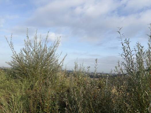 Grundstück zum Kauf provisionsfrei 180.000 € 500 m² Grundstück Holzwickede Holzwickede 59439
