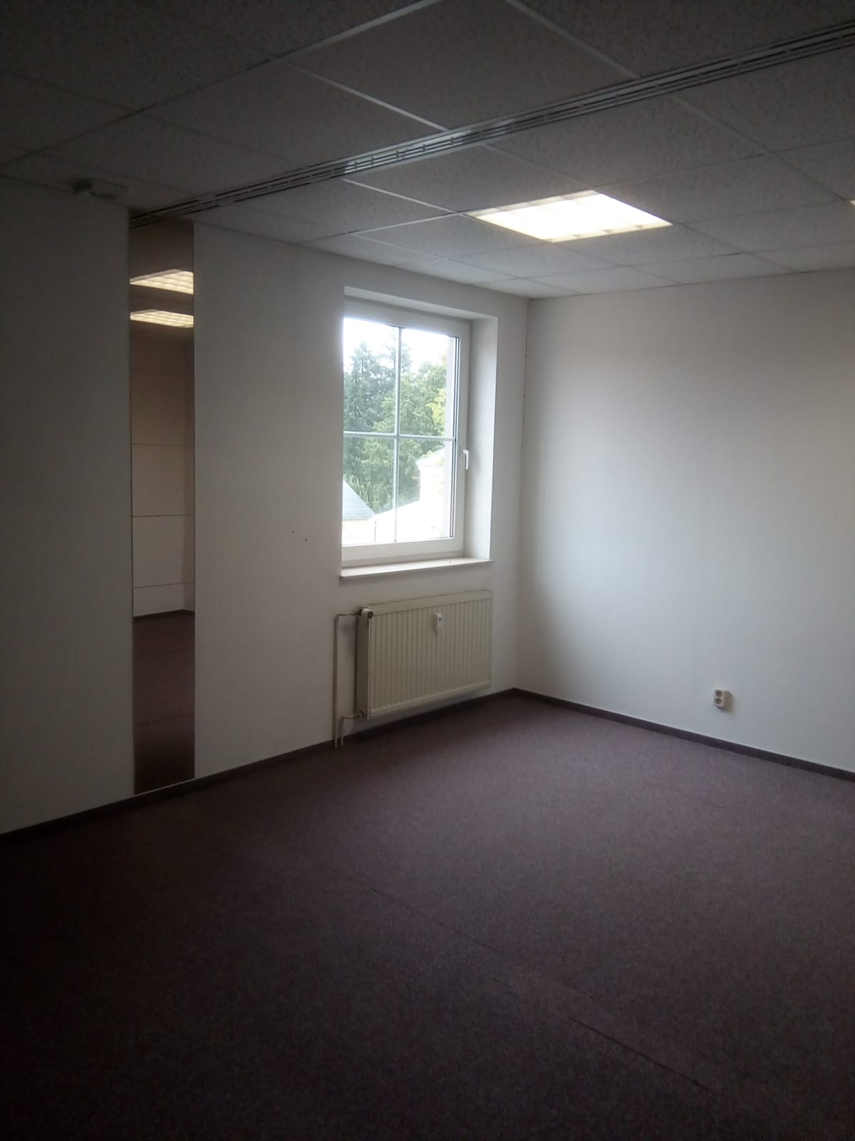 Büro-/Praxisfläche zur Miete provisionsfrei 6 € 130 m²<br/>Bürofläche Eibenstock Eibenstock 08309