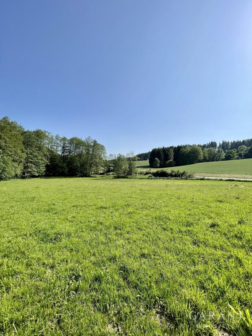 Freizeitgrundstück zum Kauf 59.000 € 6.905 m²<br/>Grundstück Seebach Deggendorf 94469