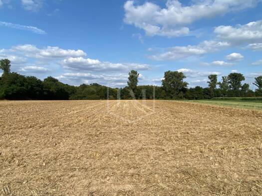 Landwirtschaftliche Fläche zum Kauf 70.000 € 5.966 m² Grundstück Stadtmitte Grevenbroich 41515