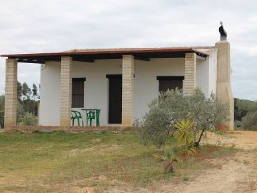 Bauernhaus zum Kauf 63.000 € 4 Zimmer 120 m² 3.200 m² Grundstück Rociana del Condado 21720