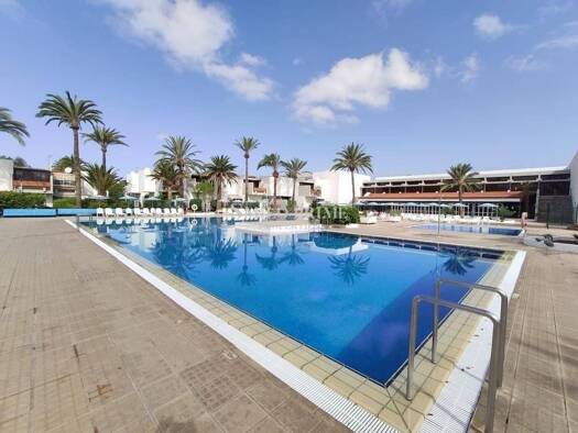Wohnung zur Miete 1.250 € 1 Zimmer 60 m² 1. Geschoss Calle Ten-bel Arona 38630