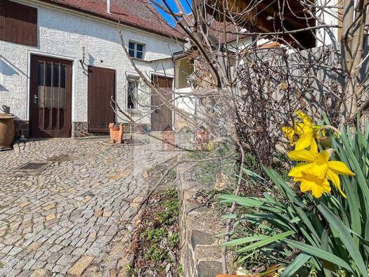 Einfamilienhaus zum Kauf 49.000 € 3 Zimmer 75 m² 903 m² Grundstück Hohburg Lossatal 04808
