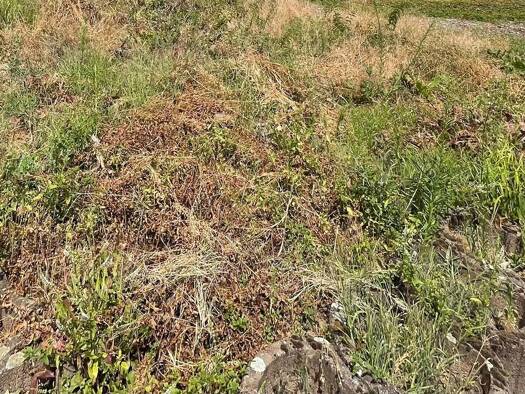 Grundstück zum Kauf 186.750 € 450 m² Grundstück frei ab sofort Laufach Laufach 63846