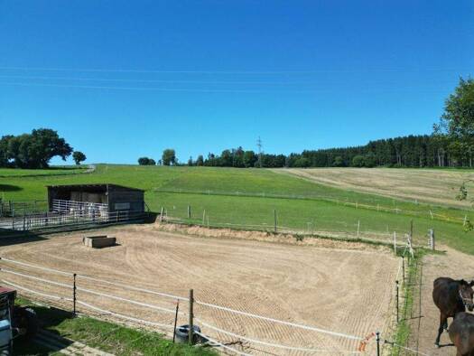 Haus zum Kauf 675.000 € 7 Zimmer 135 m² 31.719 m² Grundstück Dammelsdorf Kirchenthumbach 91281