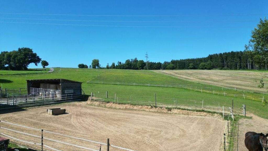 Haus zum Kauf 675.000 € 7 Zimmer 135 m² 31.719 m² Grundstück Dammelsdorf Kirchenthumbach 91281