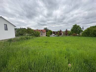 Grundstück zum Kauf 99.000 € 699 m² Grundstück Horn Horn-Bad Meinberg 32805