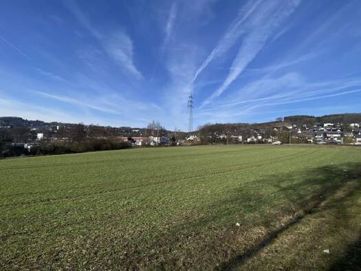 Gewerbegrundstück zum Kauf 585.000 € 9.757 m² Grundstück Sundern 59846