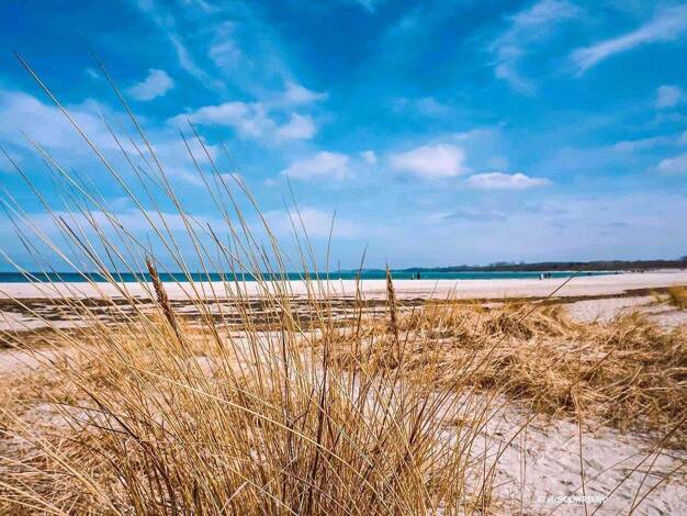 Grundstück zum Kauf provisionsfrei 1.800.000 € 20.000 m² Grundstück Kaltenhof Nordwestmecklenburg - Landkreis - Dassow 23942