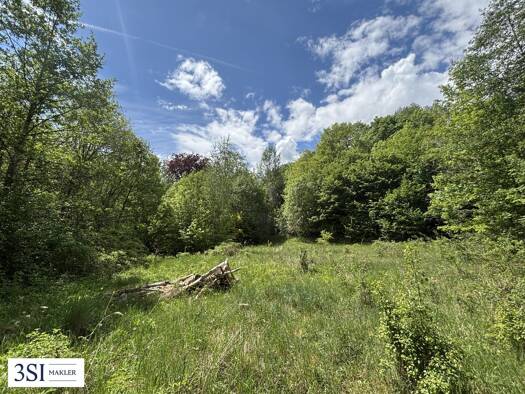 Grundstück zum Kauf 1.999.000 € 12.884 m² Grundstück Ellinggraben Kaltenleutgeben 2391