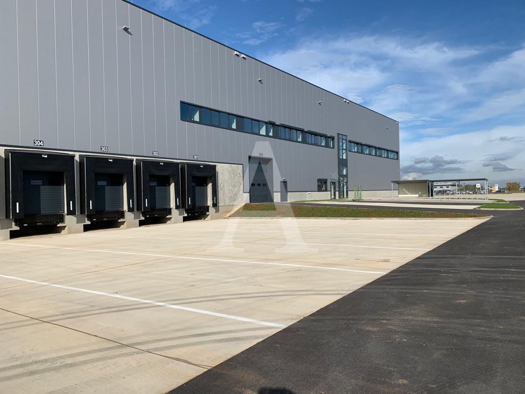 Halle/Industriefläche zur Miete 10.000 m²<br/>Lagerfläche ab 10.000 m²<br/>Teilbarkeit Gremberghoven Köln 51149