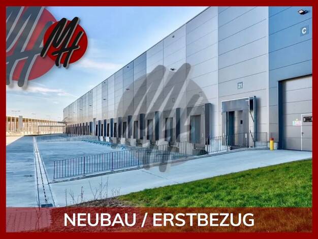 Halle/Industriefläche zur Miete - Erstbezug 7.500 m² Lagerfläche Grünstadt Grünstadt 67269