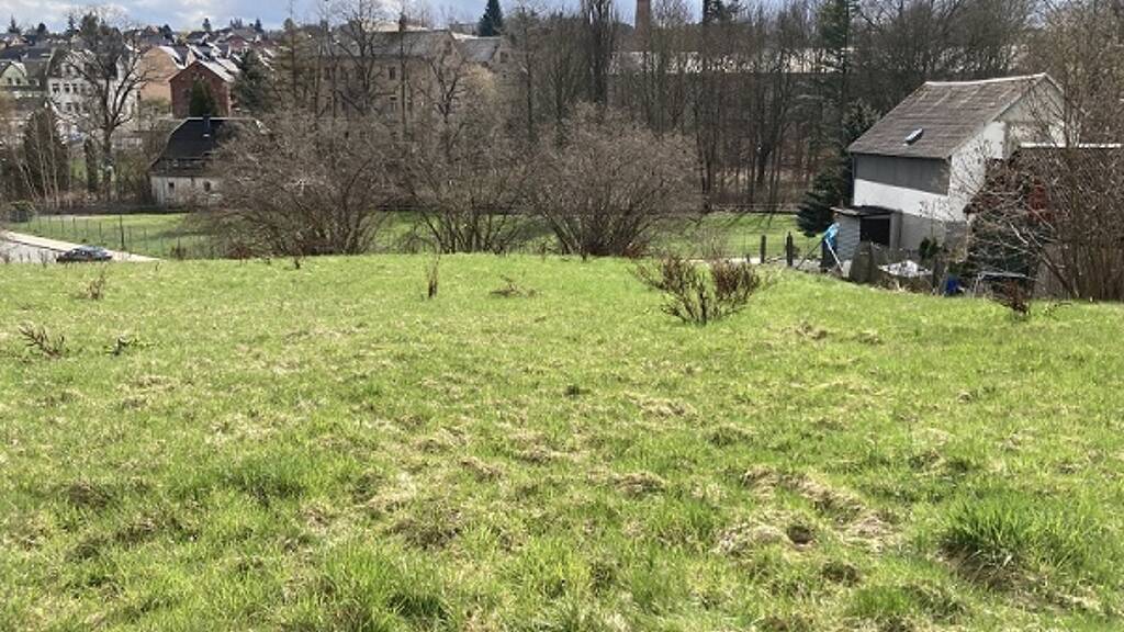 Grundstück zum Kauf 64.900 € 748,7 m² Grundstück frei ab sofort Lengenfeld 08485