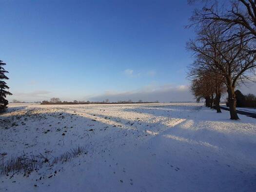 Haus zum Kauf provisionsfrei 69.000 € 4 Zimmer 100 m² 2.035 m² Grundstück Krien 17391