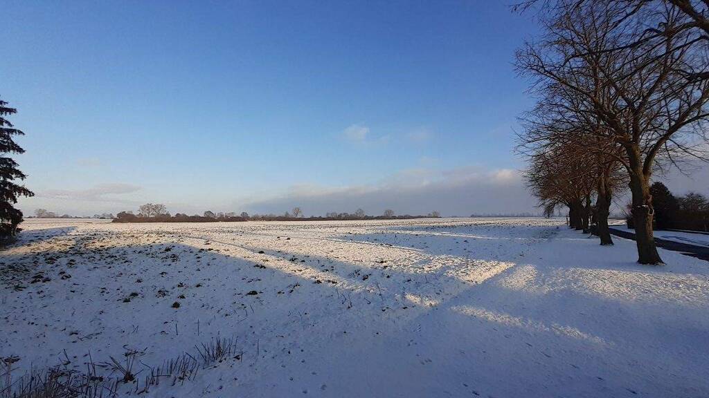 Haus zum Kauf provisionsfrei 69.000 € 4 Zimmer 100 m² 2.035 m² Grundstück Krien 17391