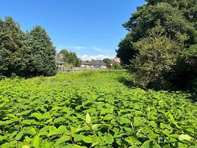 Grundstück zum Kauf provisionsfrei 1.584 m² Grundstück Alter Postweg West 37 Langen Geestland 27607