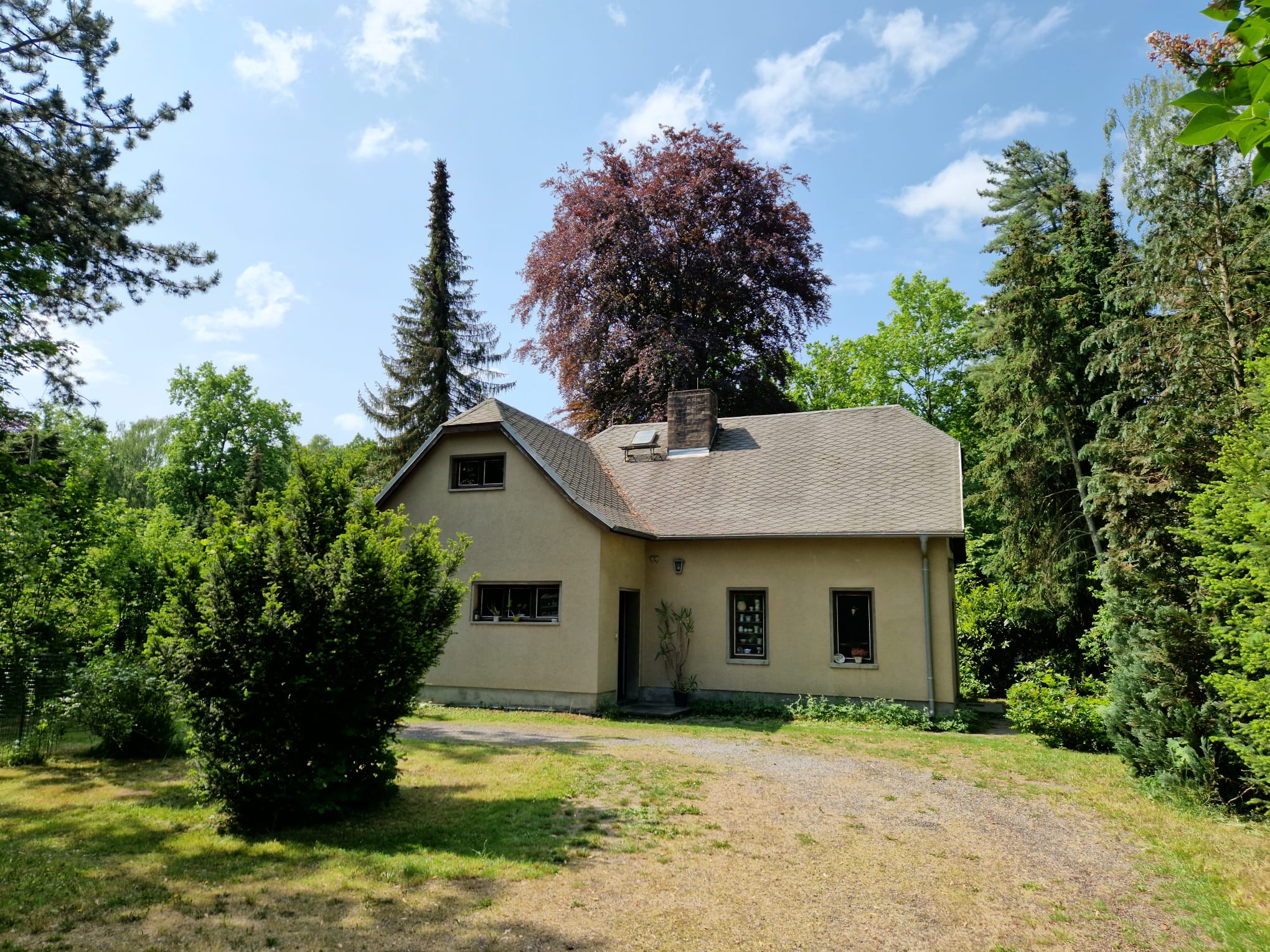 Einfamilienhaus zum Kauf 380.000 € 4 Zimmer 90 m²<br/>Wohnfläche 1.578 m²<br/>Grundstück Waldsteinberg Brandis 04821