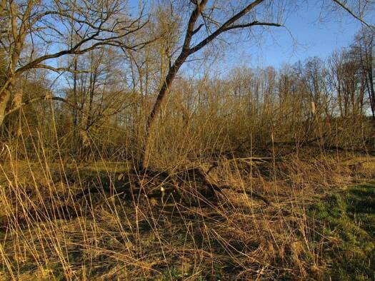 Grundstück zum Kauf Moosburg 85368