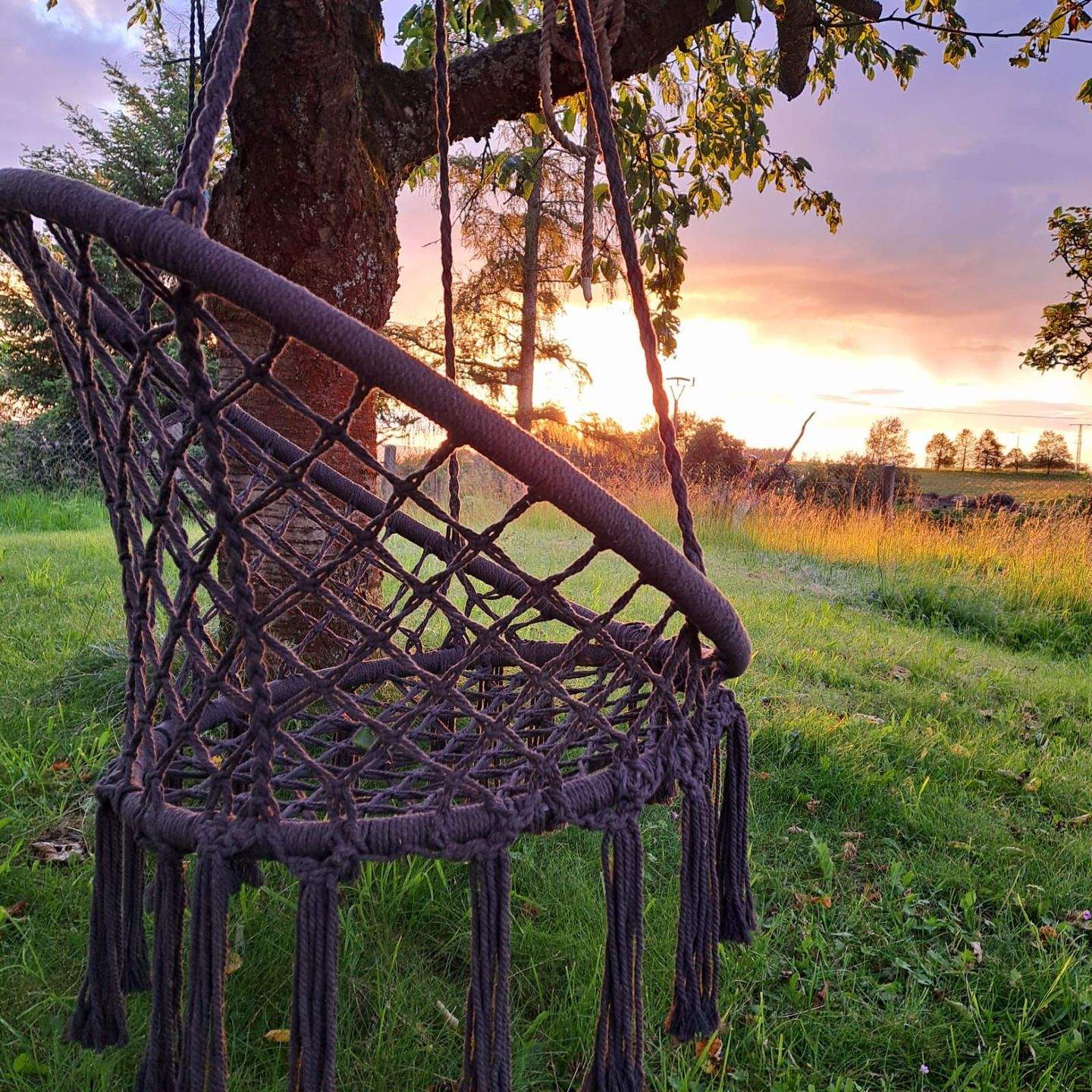 Immobilie in Leutenberg - Ein Haus voller Ideen mit Garten für junges Gemüse - Bild 2