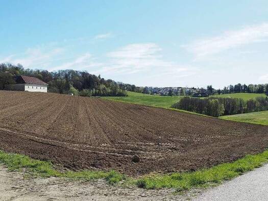 Grundstück zum Kauf 300.000 € 785 m² Grundstück Lichtenberg 4040