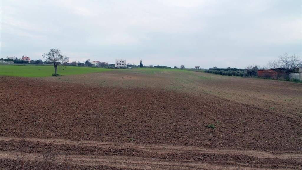 Land-/Forstwirtschaft zum Kauf 150.000 € 11.570 m² Grundstück Thessaloniki