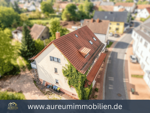 Mehrfamilienhaus zum Kauf 620.000 € 12 Zimmer 510 m² 2.000 m² Grundstück Bosen Nohfelden 66625