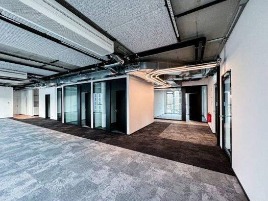 Bürofläche zur Miete provisionsfrei 29.760 € 1.063 m² Bürofläche Hermann-Blankenstein-Str. Prenzlauer Berg Berlin 10249