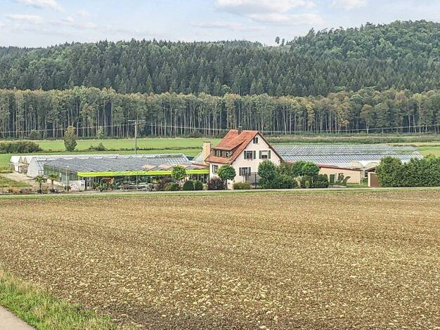 Sonstiges zum Kauf 650.000 € 7 Zimmer 130 m² 17.667 m² Grundstück Dischingen 89561