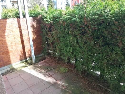 Terrassenwohnung zur Miete 269 € 3 Zimmer 46,4 m² EG frei ab sofort Lutherviertel Chemnitz 09126