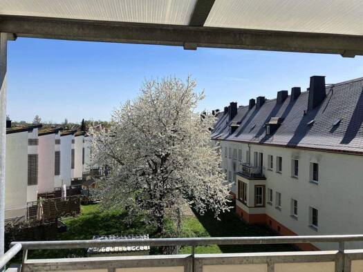 Wohnung zur Miete 340 € 2 Zimmer 55 m² 2. Geschoss frei ab sofort Reichenbrander Straße 16 Reichenbrand Reichenbrand 09117