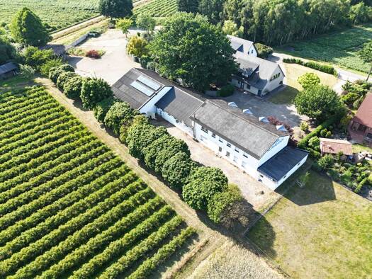 Haus zum Kauf 374.000 € 10 Zimmer 939,4 m² 8.234 m² Grundstück Ströhen Wagenfeld 49419