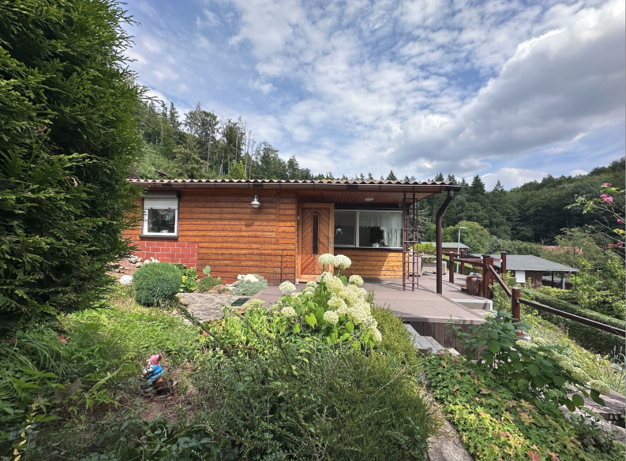 Bungalow zum Kauf provisionsfrei 39.900 € 2 Zimmer 36 m² 287 m² Grundstück frei ab sofort Morungen 109 Morungen Sangerhausen 06526