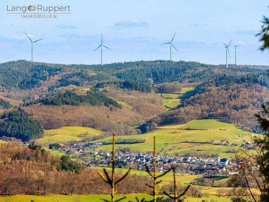 Einfamilienhaus zum Kauf 339.000 € 8 Zimmer 299,2 m² 714 m² Grundstück Seidenbuch 64678